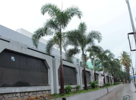 BRT corridor plantation, Pimpri Chinchwad